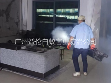 沙湾室内灭蚊虫工程