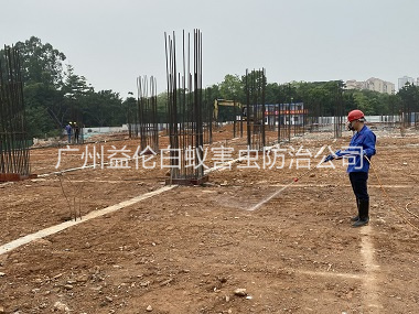 洛浦新建白蚁预防工程