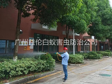 沙湾住宅小区蚊虫防控工程